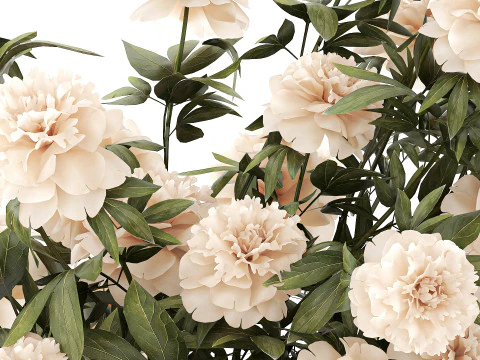 सफ़ेद पेनी फूल की झाड़ियाँ विकर फूलों की टोकरी सजावट 3D मॉडल