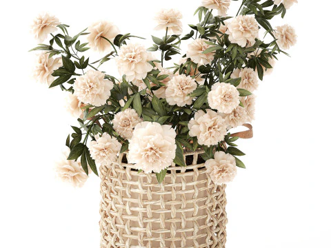 सफ़ेद पेनी फूल की झाड़ियाँ विकर फूलों की टोकरी सजावट 3D मॉडल