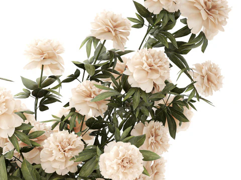 सफ़ेद पेनी फूल की झाड़ियाँ विकर फूलों की टोकरी सजावट 3D मॉडल