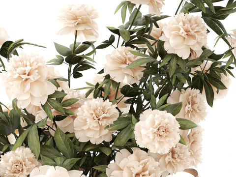 सफ़ेद पेनी फूल की झाड़ियाँ विकर फूलों की टोकरी सजावट 3D मॉडल