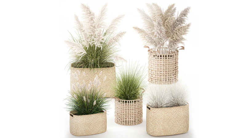 Set di canne di erba di pampa in cestini di vimini bianchi per piante Modello 3D .c4d .max .obj .3ds .fbx .stl .blend