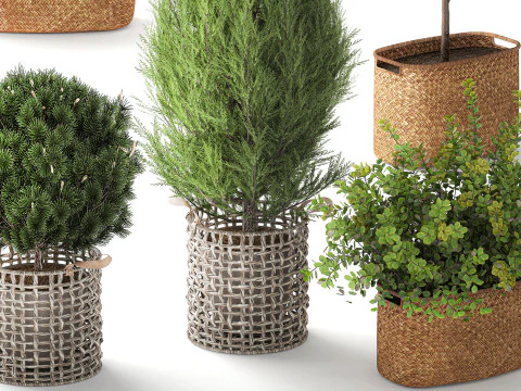 Plants baskets hydrangea Juniper Olive tree bushes 3D Model