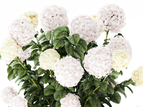 Plants baskets hydrangea Juniper Olive tree bushes 3D Model