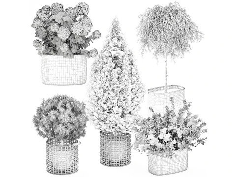 Plants baskets hydrangea Juniper Olive tree bushes 3D Model