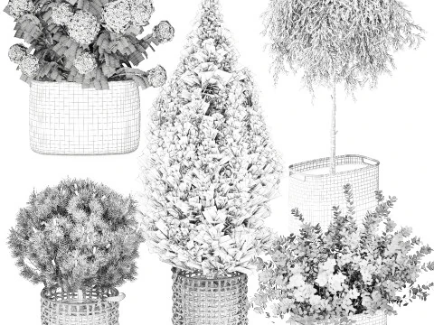 Plants baskets hydrangea Juniper Olive tree bushes 3D Model