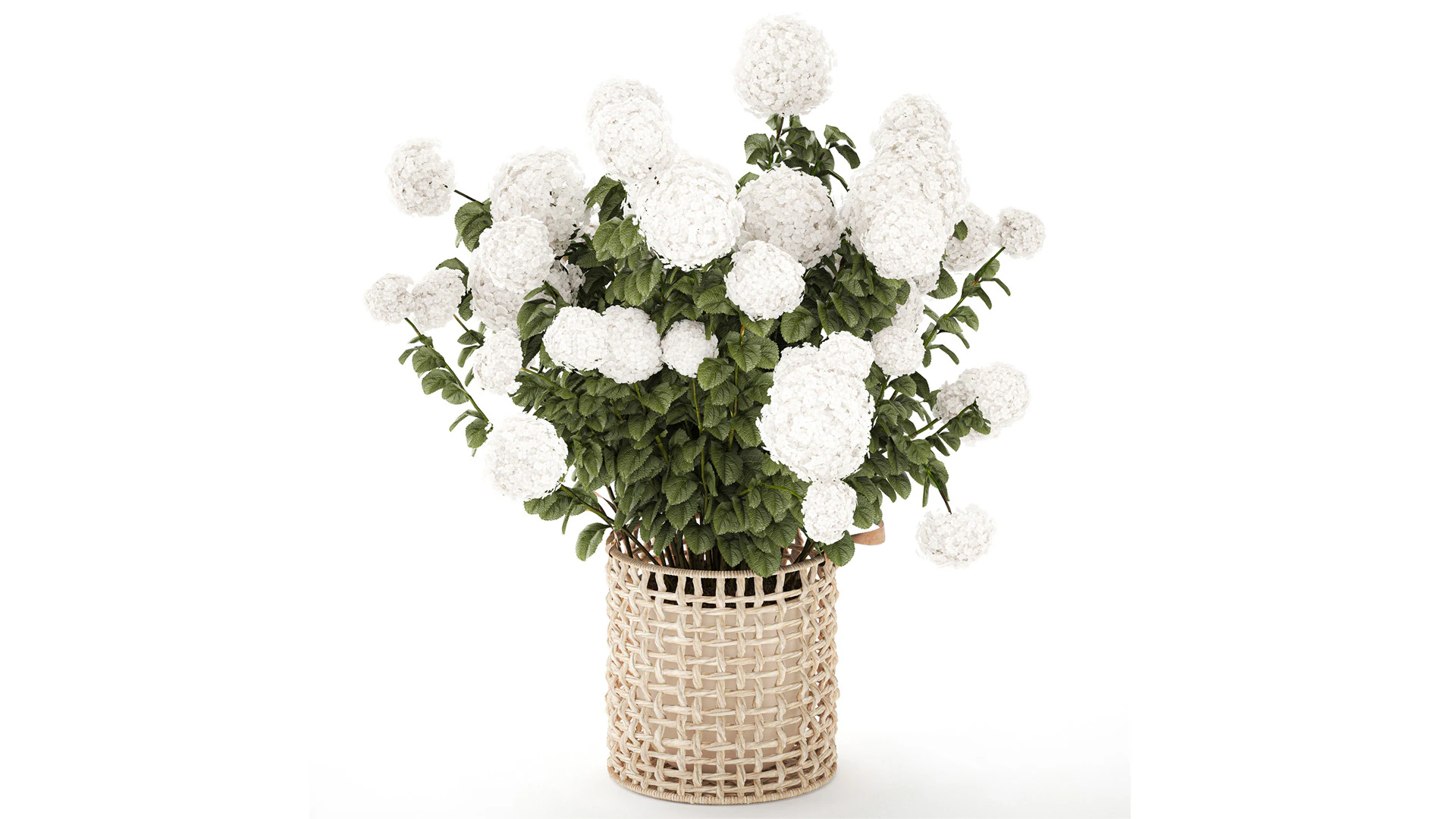 White Hydrangea flower bushes rattan basket decor pot 3D Model .c4d .max .obj .3ds .fbx .stl .blend