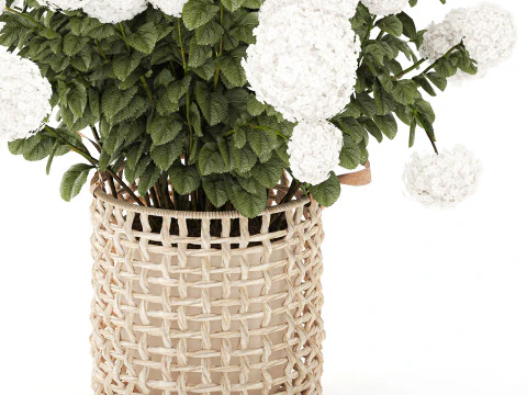 White Hydrangea flower bushes rattan basket decor pot 3D Model