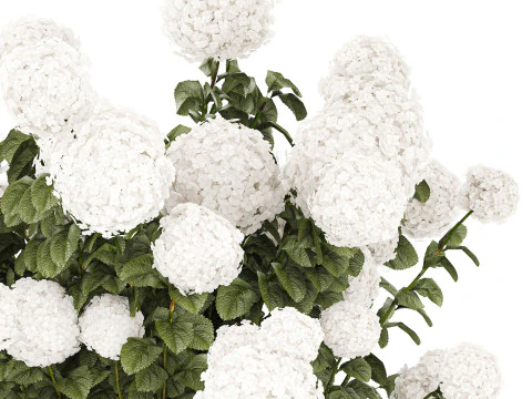 White Hydrangea flower bushes rattan basket decor pot 3D Model
