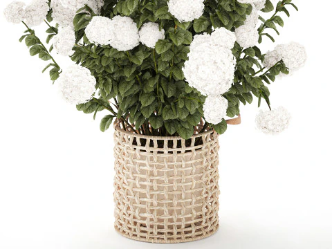 White Hydrangea flower bushes rattan basket decor pot 3D Model