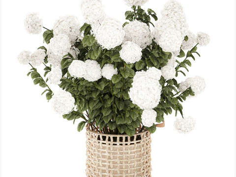 White Hydrangea flower bushes rattan basket decor pot 3D Model
