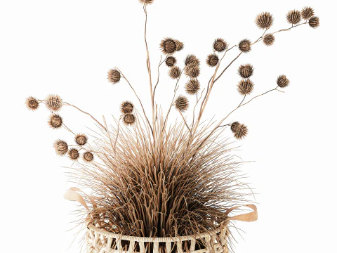 Dried Bush Grass Branches Thistle Thorns Basket decor 3D Model