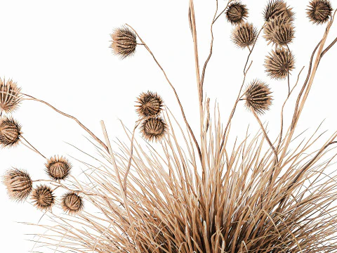 Dried Bush Grass Branches Thistle Thorns Basket decor 3D Model