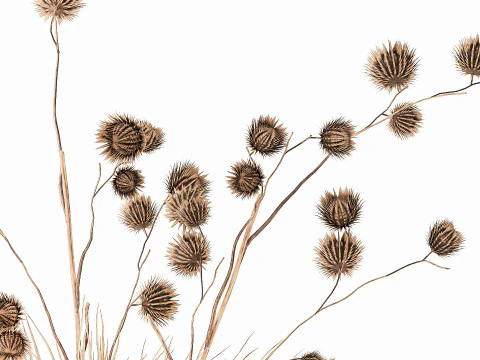 Dried Bush Grass Branches Thistle Thorns Basket decor 3D Model