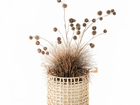 Dried Bush Grass Branches Thistle Thorns Basket decor 3D Model