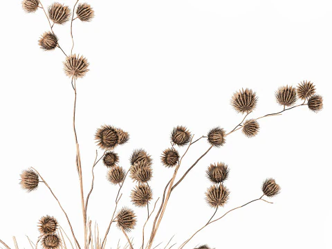 Dried Bush Grass Branches Thistle Thorns Basket decor 3D Model