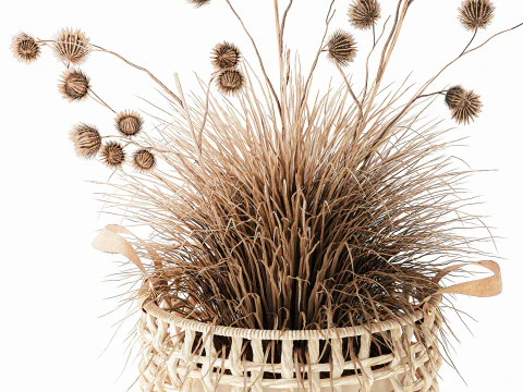 Dried Bush Grass Branches Thistle Thorns Basket decor 3D Model