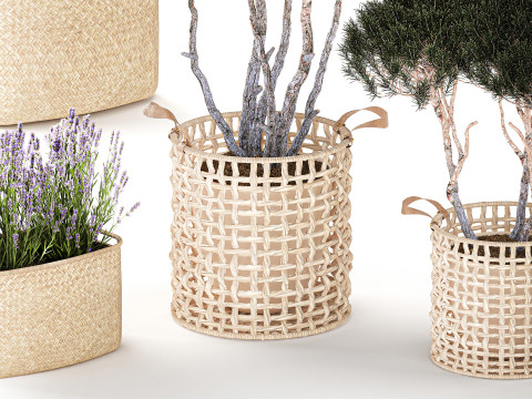 Topiary arbustos &aacute;rboles pino lavanda Calluna cestas set decoraci&oacute;n Modelo 3D