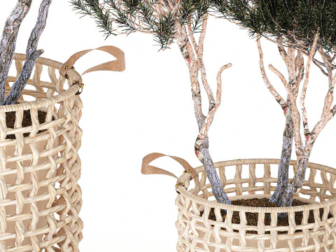 Topiary bushes trees pine lavender Calluna baskets set decor 3D Model