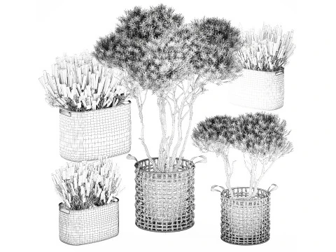 Topiary bushes trees pine lavender Calluna baskets set decor 3D Model