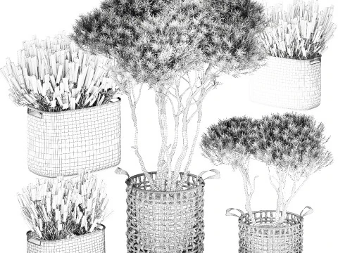 Topiary bushes trees pine lavender Calluna baskets set decor 3D Model