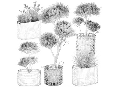 Topiary bushes trees pine spruce basket Pampas set 3D Model