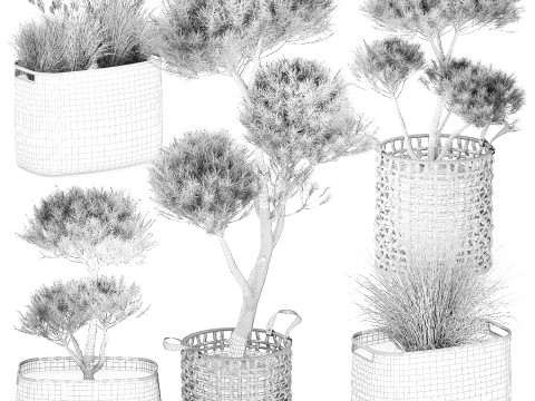 Topiary bushes trees pine spruce basket Pampas set 3D Model