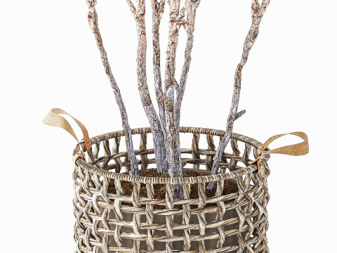 Topiary Tree Pine Spruce Fir Basket Pot 3D Model