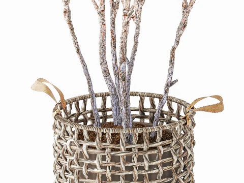Topiary Tree Pine Spruce Fir Basket Pot 3D Model