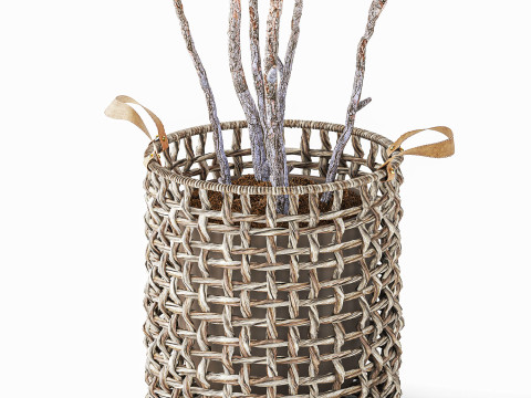 Topiary Tree Pine Spruce Fir Basket Pot 3D Model