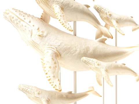 Marine Set Whale White Coral Shell Figurines Decor 3D Model