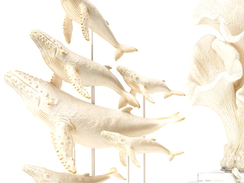 Marine Set Whale White Coral Shell Figurines Decor 3D Model