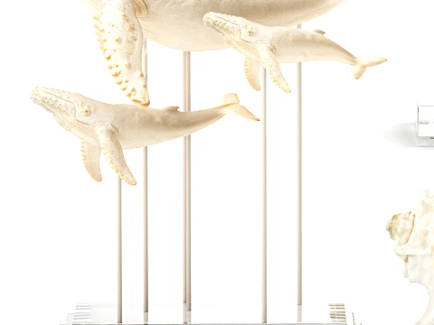 Marine Set Whale White Coral Shell Figurines Decor 3D Model