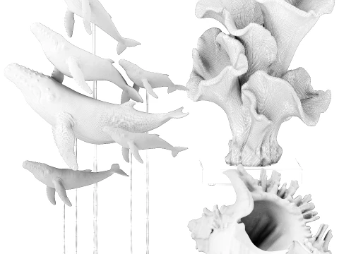 Marine Set Whale White Coral Shell Figurines Decor 3D Model