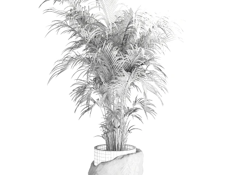 Small indoor Howea palm white modern stone pot decor 3D Model