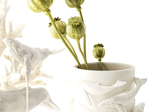Vase whale coral bouquet dried flower branches poppy set 3D Model