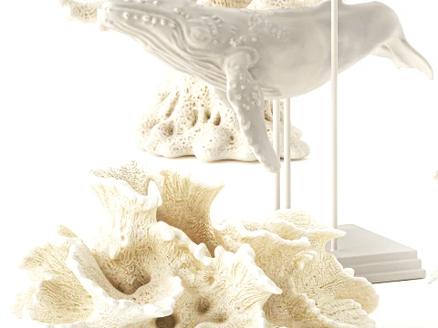 Vase whale coral bouquet dried flower branches poppy set 3D Model