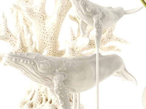 Vase whale coral bouquet dried flower branches poppy set 3D Model