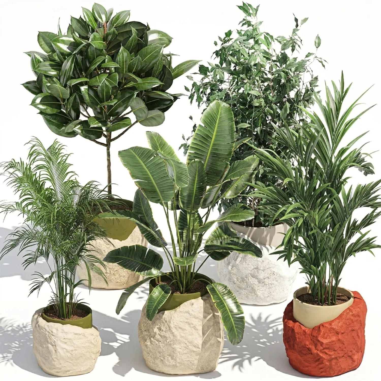 Flowers stone pots Ravenala Ficus palm Strelitzia set top new 3D Model .c4d .max .obj .3ds .fbx .stl .blend