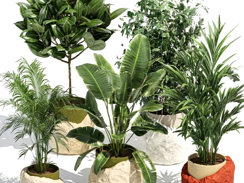 Macetas de piedra con flores Ravenala Ficus palm Strelitzia set top nuevo Modelo 3D