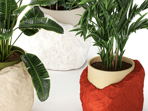 Flowers stone pots Ravenala Ficus palm Strelitzia set top new 3D Model