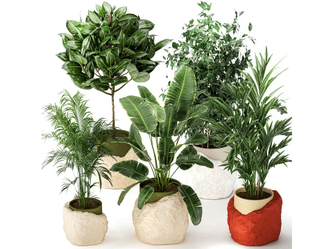 Flowers stone pots Ravenala Ficus palm Strelitzia set top new 3D Model