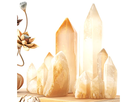 Decor set vase bouquet poppy lotus crystals books figurines 3D Model