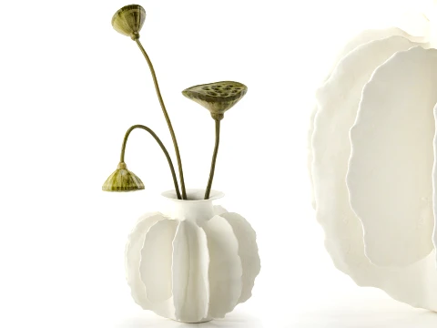 ミニマリストの花束ドライフラワー蓮の枝の装飾新しい 3Dモデル