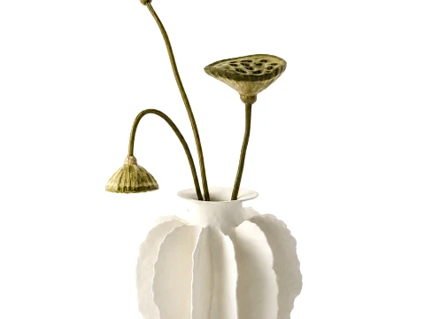 Minimalist bouquet dried flowers lotus branch decor new 3D Model