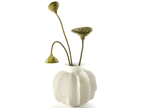 Minimalist bouquet dried flowers lotus branch decor new 3D Model