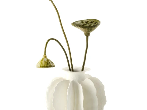 Minimalist bouquet dried flowers lotus branch decor new 3D Model
