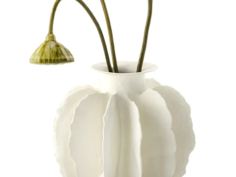 Minimalist bouquet dried flowers lotus branch decor new 3D Model