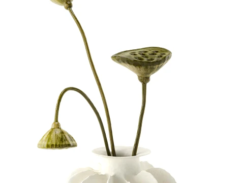 Minimalist bouquet dried flowers lotus branch decor new 3D Model