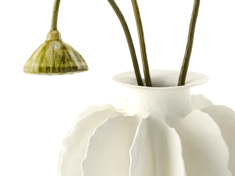 Minimalist bouquet dried flowers lotus branch decor new 3D Model