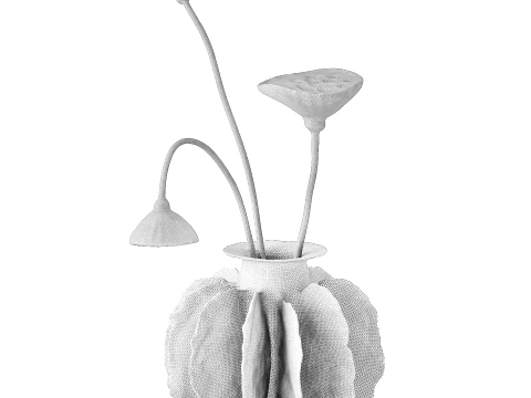 Minimalist bouquet dried flowers lotus branch decor new 3D Model
